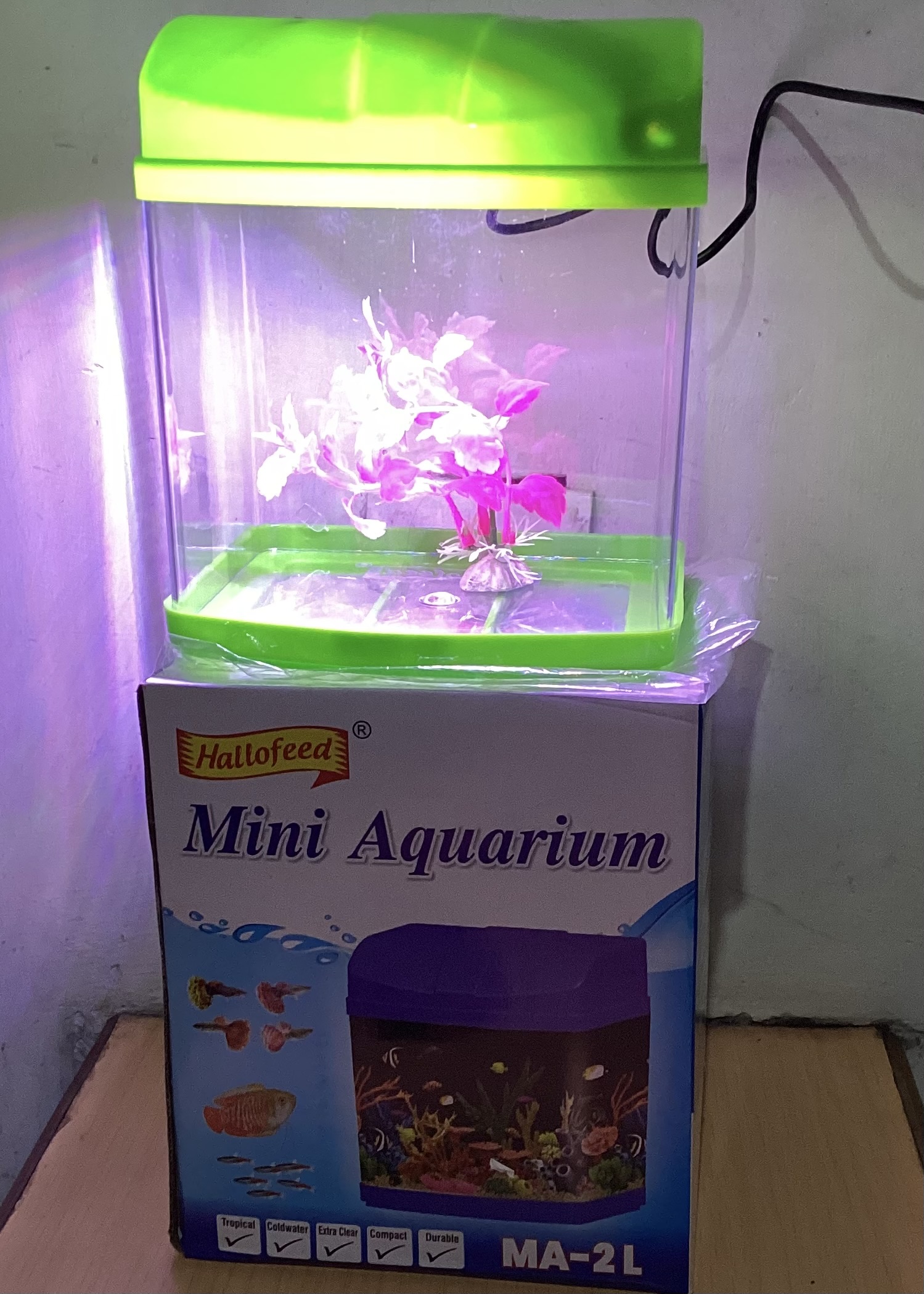 Mini aquarium